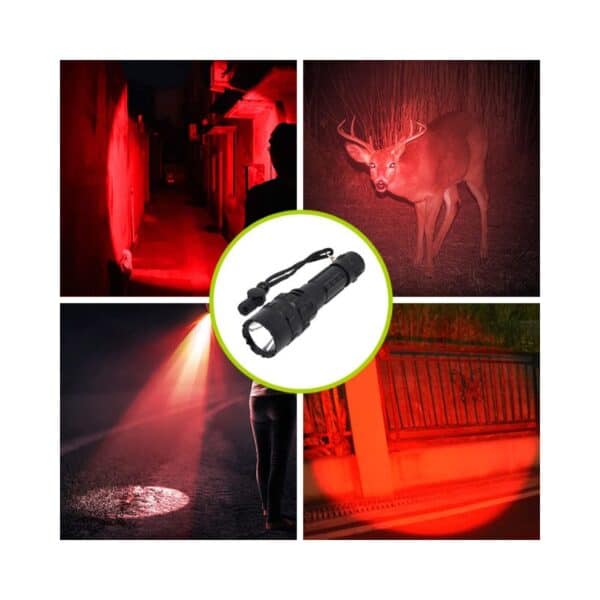 A collage of four images shows a red LED flashlight illuminating a deer, alley, street, and fence, with an inset of the flashlight.
