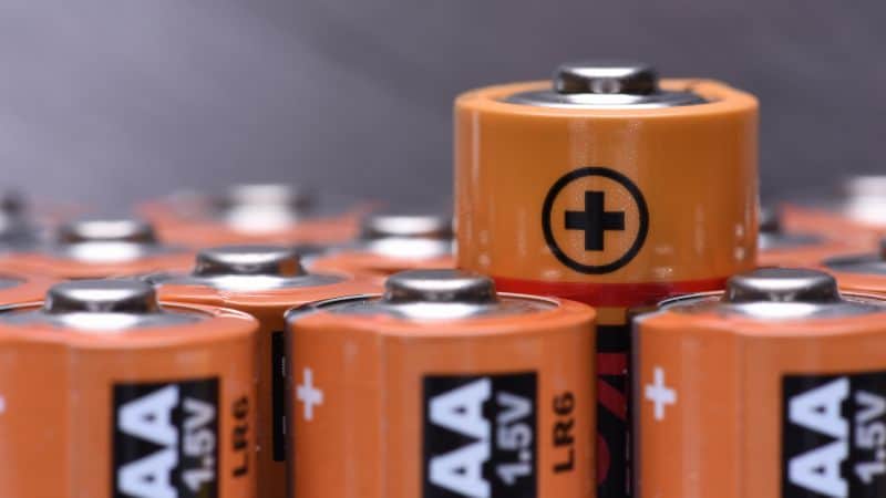 alkaline batteries AA size