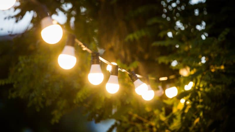 Lampu rentetan bercahaya tergantung di luar pada dahan pokok hijau pada waktu senja.